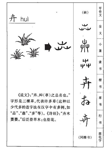 卉名字意思|卉字的含义和寓意